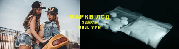 молекула духа Липки